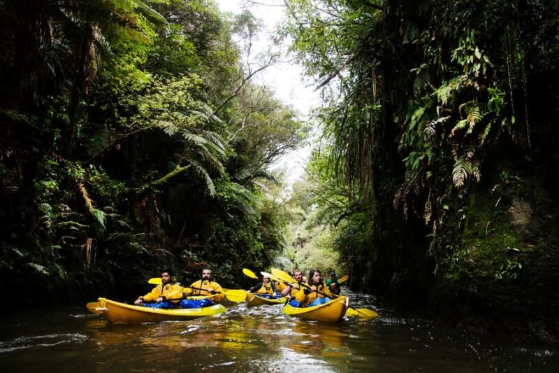 Lake Karapiro: Evening Kayak Glowworm Tour - The Itinerary: What to Expect from Start to Finish