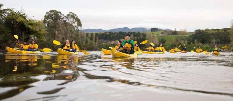 Lake Karapiro: Evening Kayak Glowworm Tour - Practical Details and Considerations