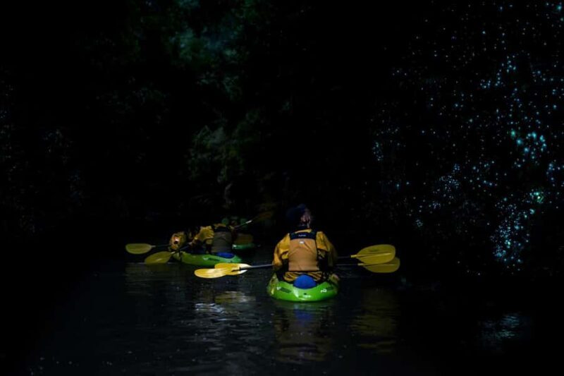 Lake Karapiro: Evening Kayak Glowworm Tour - The Value: Is It Worth It?