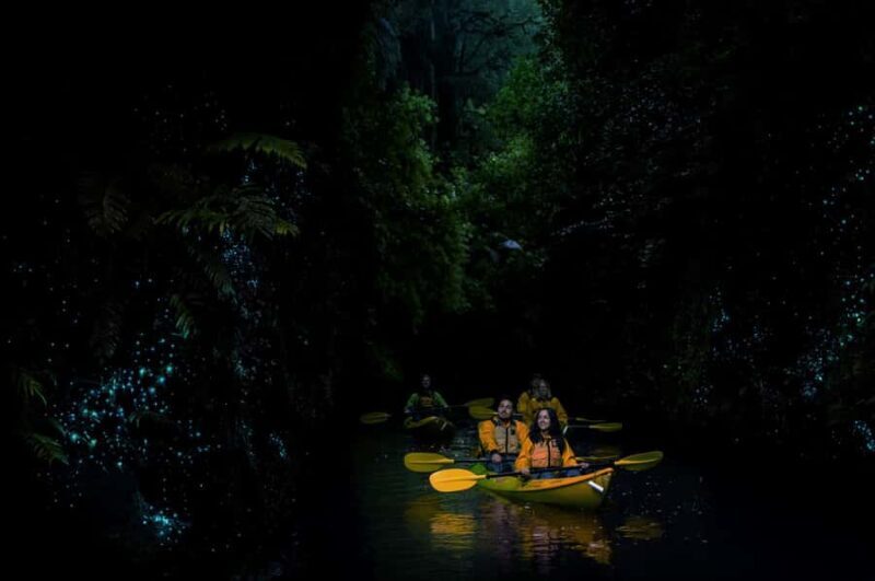 Lake Karapiro: Evening Kayak Glowworm Tour - The Sum Up