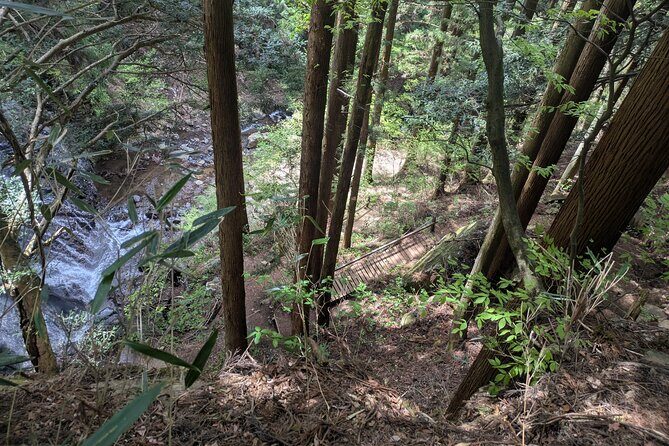 Lake Kawaguchi Private Hiking Tour with local guide - FAQ