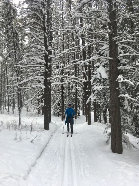 Lake Louise: Cross Country Skiing Lesson with Tour - A Closer Look at the Experience