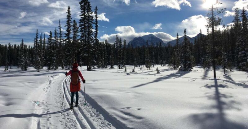 Lake Louise: Cross Country Skiing Lesson with Tour - Who Is This Tour Best For?
