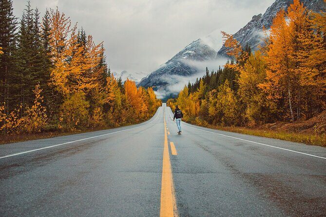 Lake Louise Johnston Canyon Peyto Lake Icefields Parkway Daytrip - What Travelers Love and What to Consider