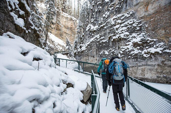 Lake Louise Johnston Canyon Peyto Lake Icefields Parkway Daytrip - Final Thoughts: Who Will Appreciate This Tour?