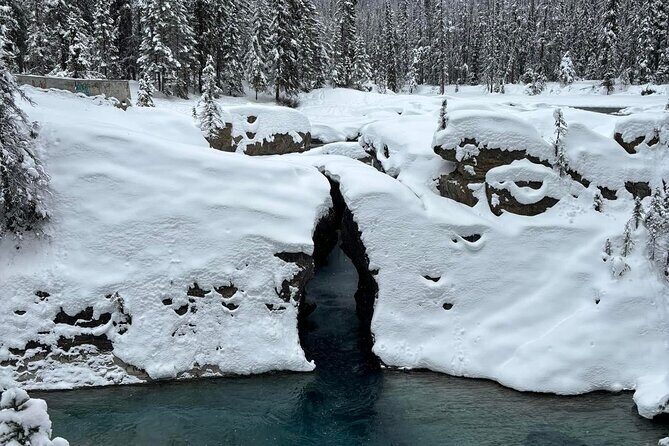 Lake Louise, Moraine Lake, Emerald Lake and Johnston Canyon Tour - Itinerary Breakdown: What You’ll Experience