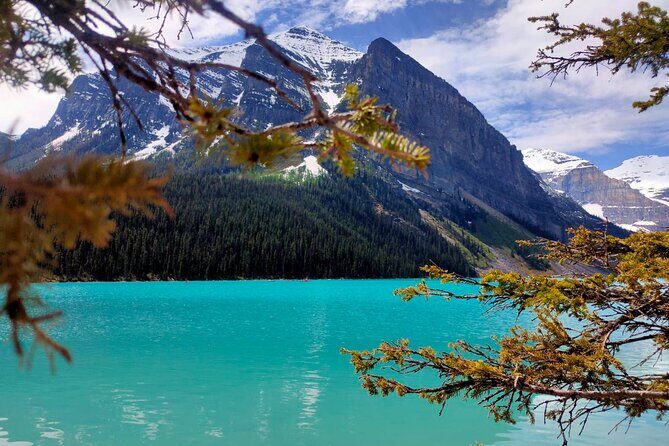 Lake Louise, Moraine Lake, Peyto Lake, Crowfoot Tour from Calgary - An In-depth Look at the Tour Experience