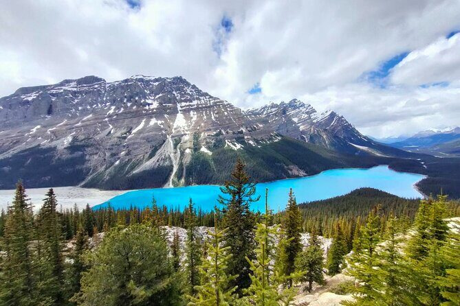 Lake Louise, Moraine Lake, Peyto Lake, Crowfoot Tour from Calgary - Practical Details and Value