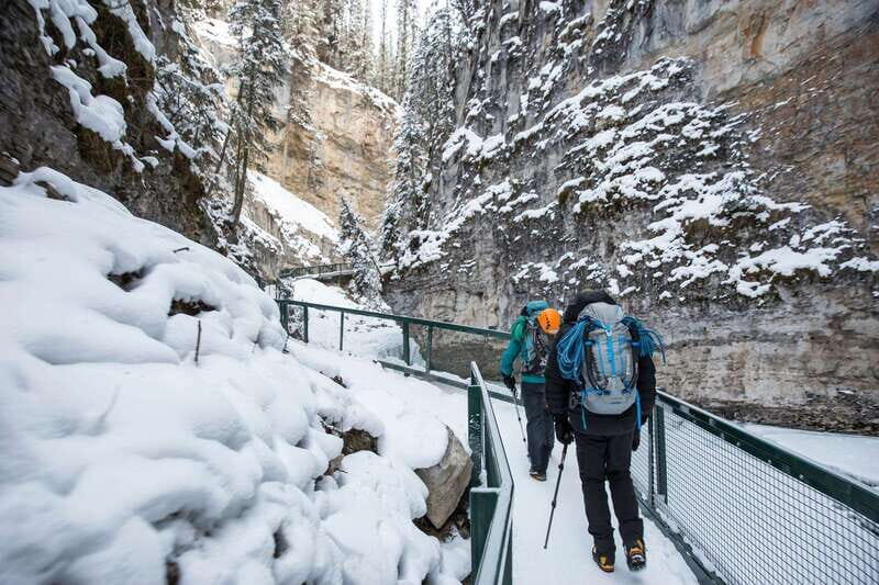 Lake Louise, Peyto Lake, Johnston Canyon & Icefields Parkway - An Overview of the Experience