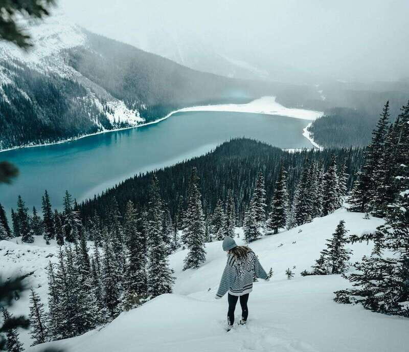 Lake Louise, Peyto Lake, Johnston Canyon & Icefields Parkway - Authentic Traveler Feedback