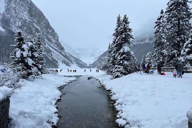 Lake Louise to Calgary or Calgary Airport Private Transfer - A Closer Look at the Experience