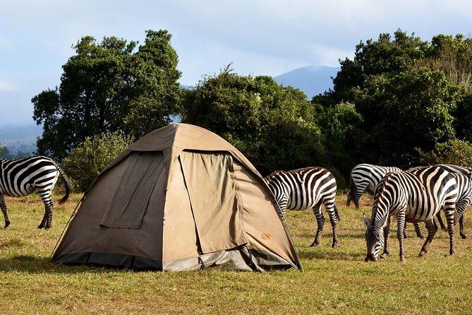 Lake Manyara Guided Day Tour from Arusha - Why This Tour Stands Out