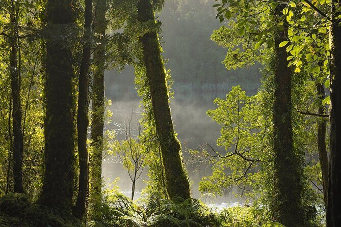 Lake Matheson Nature Tour - Who Should Consider This Tour?