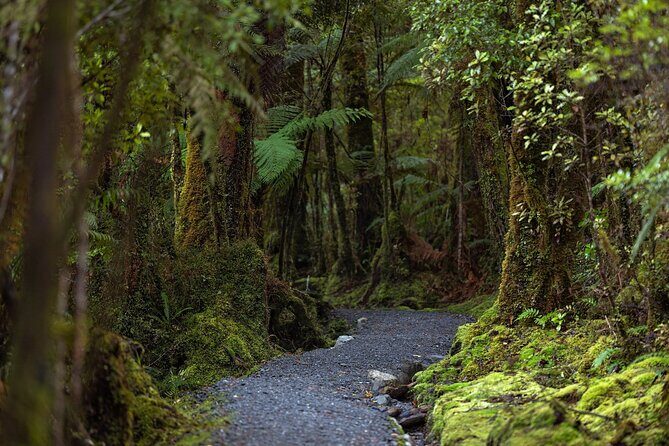 Lake Matheson Nature Tour - FAQ: Your Questions About the Lake Matheson Nature Tour
