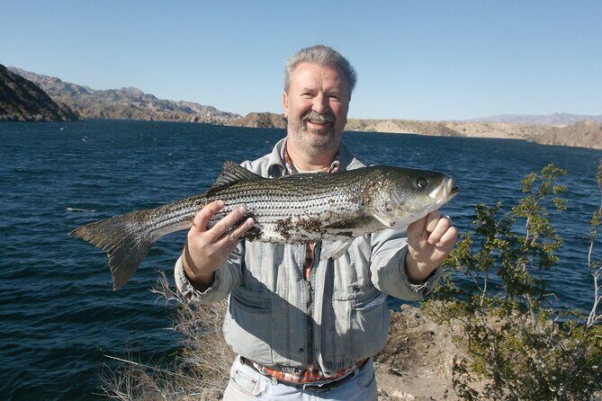 Lake Mead Striped Bass Fishing Getaway - What to Expect on the Tour