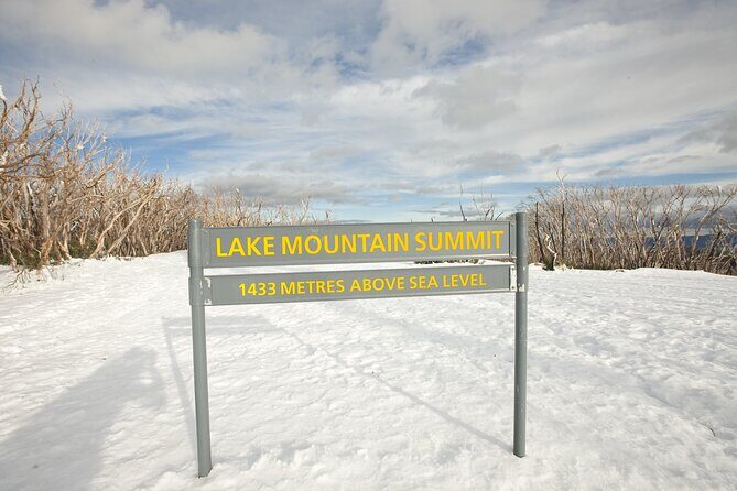 Lake Mountain Snow play and Steavenson Falls from Melburne - A Journey from Melbourne to Winter Wonderland and Waterfall Wonder