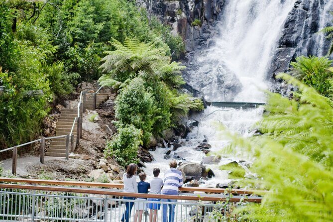 Lake Mountain Snow play and Steavenson Falls from Melburne - Who Would Love This Tour?
