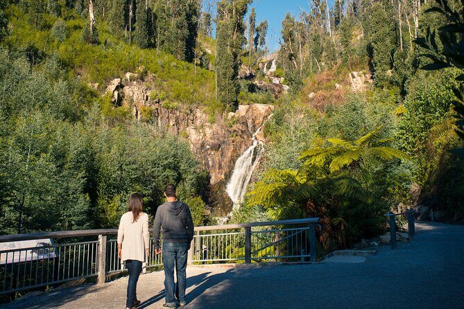 Lake Mountain Snow play and Steavenson Falls from Melburne - Summary