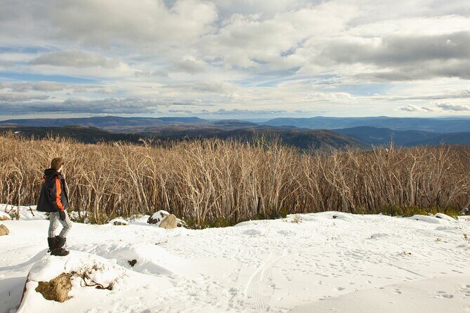 Lake Mountain Snow Tour - Authentic Experiences and What Travelers Say
