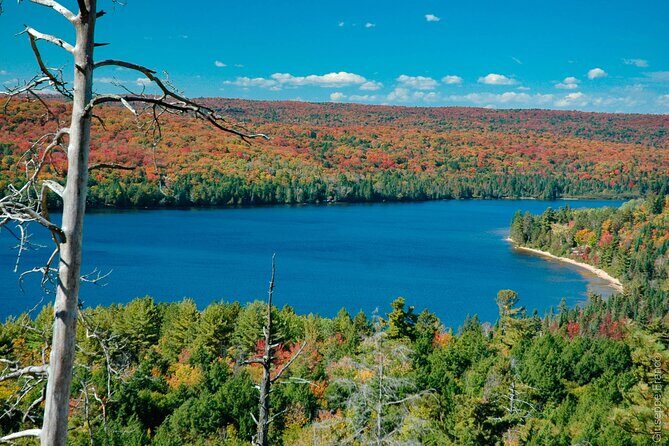 Lake Muskoka and Algonquin Small Group 1-Day Tour From Toronto - The Itinerary Deep Dive