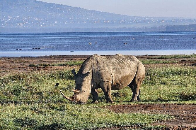 Lake Naivasha And Lake Nakuru Overnight Tour - FAQ
