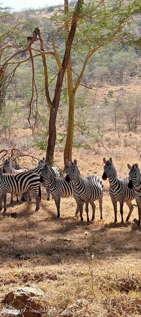 Lake Naivasha: Crescent Island Game Sanctuary - The Journey from Nairobi to the Rift Valley