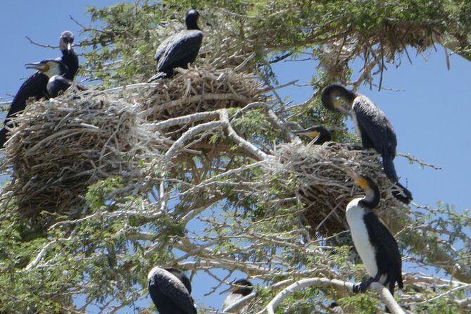 Lake Naivasha day tour including the crescent island - FAQ