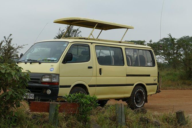 Lake Nakuru Day Tour From Nairobi - An In-Depth Look at the Lake Nakuru Day Tour
