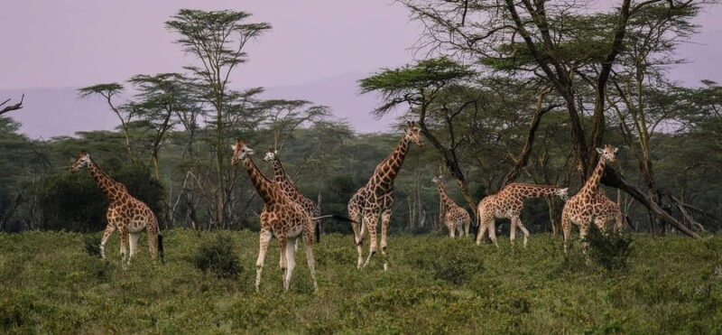 Lake Nakuru day trip from Nairobi - The Waterfall and Viewpoints