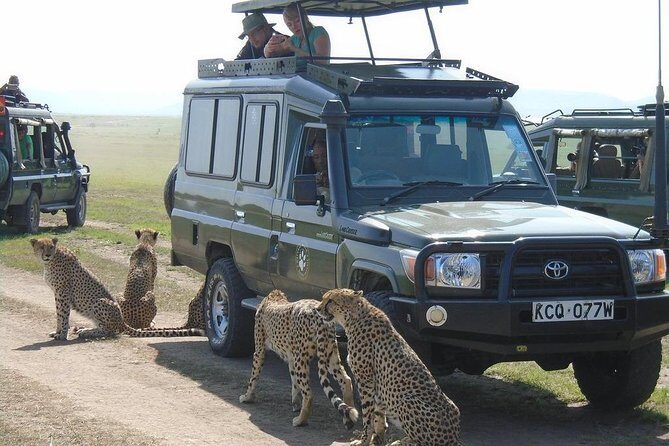 Lake Nakuru, Naivasha & Masai Mara 4 Days Private Jeep Safari - A Closer Look at the 4-Day Kenyan Safari