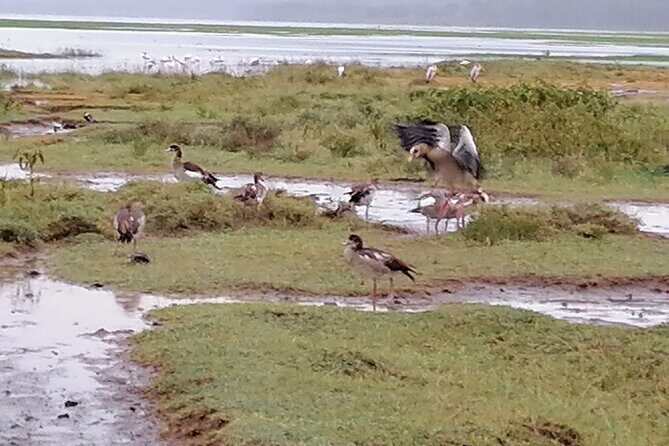 Lake Nakuru National Park Day Tour - FAQ
