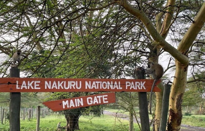 Lake Nakuru National Park Day Tour from Nairobi - Key Points