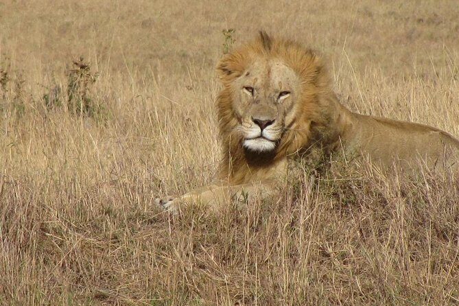 Lake Nakuru National Park - Full Day Tour - Key Points