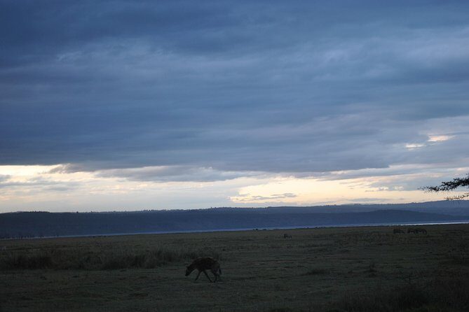 Lake Nakuru National Park - Full Day Tour - An In-Depth Look at the Tour Itself