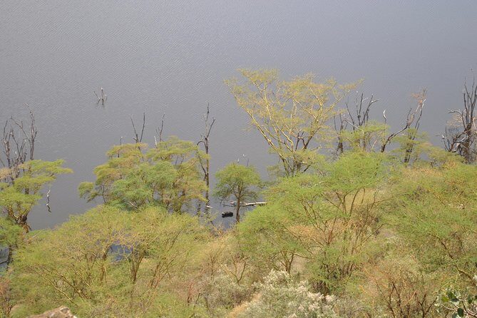 Lake Nakuru National Park - Full Day Tour - Authentic Experiences and Authenticity