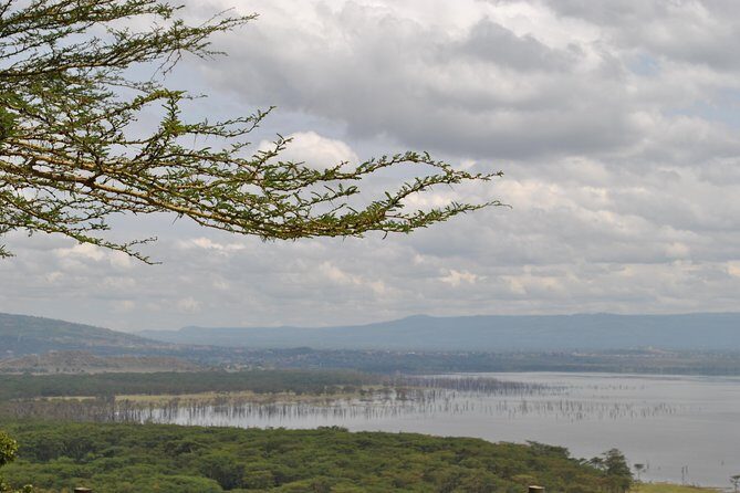 Lake Nakuru National Park - Full Day Tour - Who Should Consider This Tour?