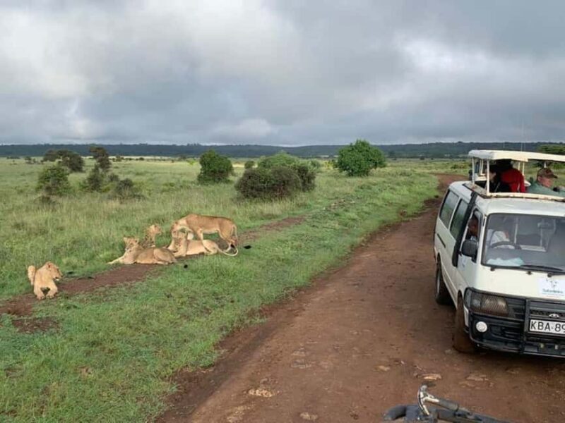 Lake Nakuru National Park Wildlife Highlights From Nairobi - FAQs