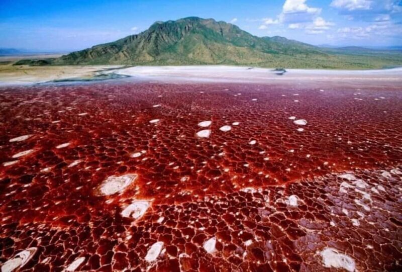 Lake Natron Day trip - Final Thoughts: Who Will Love This Trip?