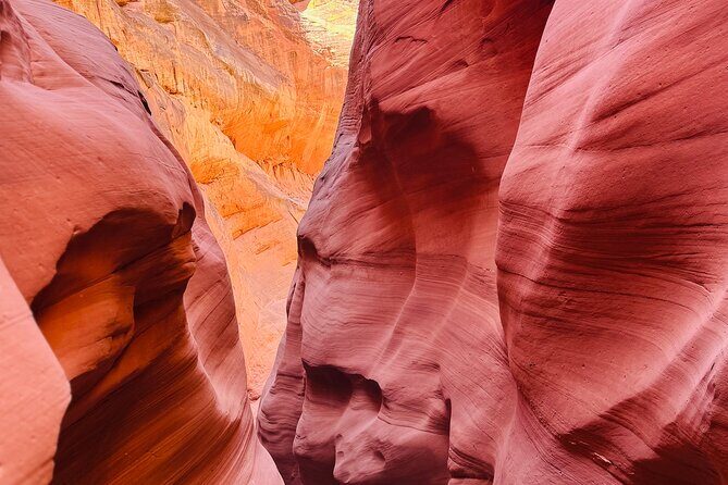 Lake Powell Premium Kayak Rental - The Sum Up