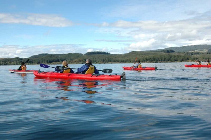 Lake Rotoiti & Hot Pools Guided Kayak - Final Thoughts: Is This Tour Right for You?