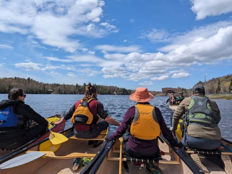 Lake Superior: Maple Island Guided Canoe Tour with Snack - What to Expect from the Lake Superior Canoe Tour