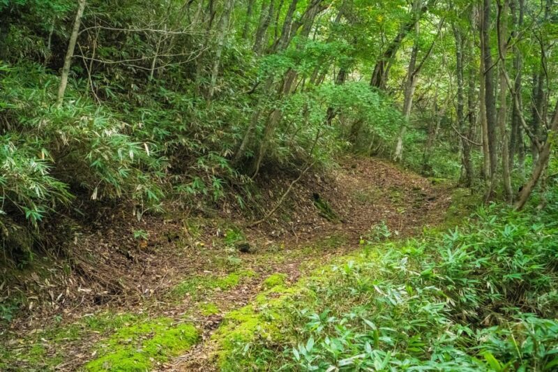 Lake Tachibana: Hike to a hidden lake! - An Introduction to the Lake Tachibana Hike