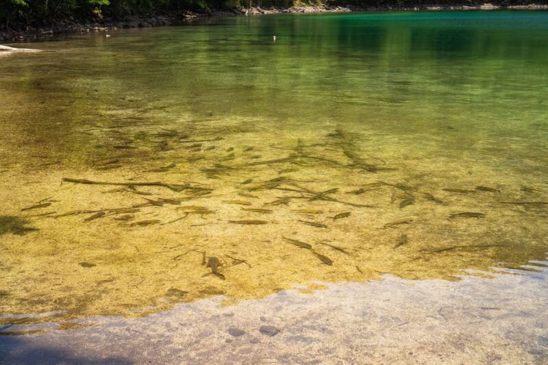 Lake Tachibana: Hike to a hidden lake! - Who Should Consider This Tour?