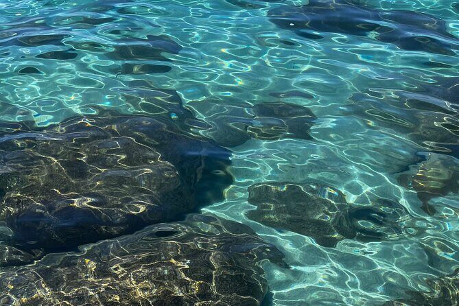 Lake Tahoe Clear Kayak Adventure at Sand Harbor - Practical Tips for Booking and Participation