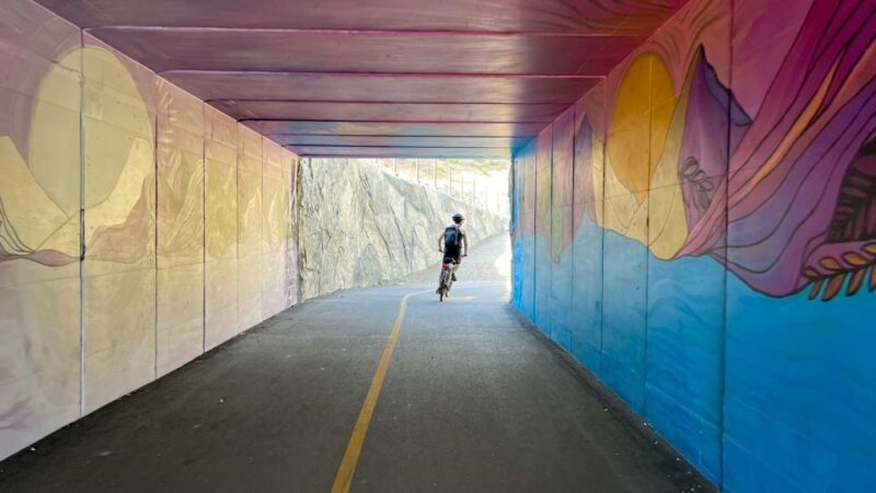 Lake Tahoe: Electric Bike Rental - Practical Details and Considerations