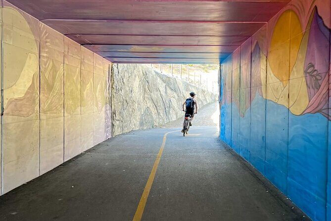 Lake Tahoe: Full Day Self-Guided Bike Tour - Exploring Lake Tahoe on Your Own Terms