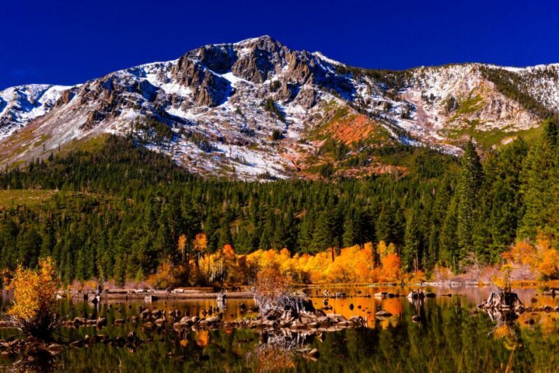 Lake Tahoe: Half-Day Photographic Scenic Tour - Itinerary Breakdown: What to Expect