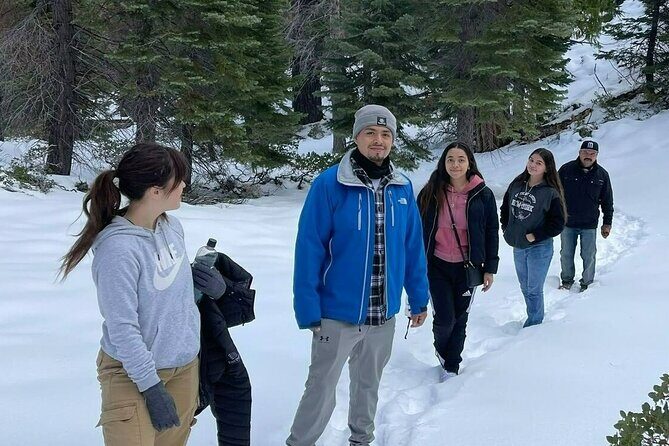 Lake Tahoe-Hike Year Round With a Local - Authentic Reviews: What Travelers Say