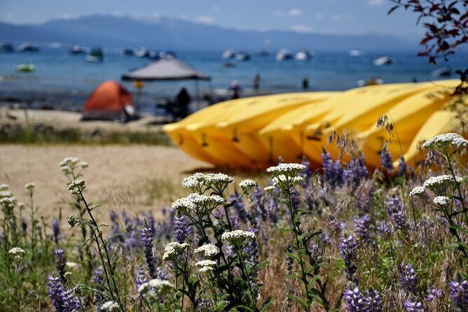 Lake Tahoe: North Shore Kayak Rental - What Makes This Worthwhile?