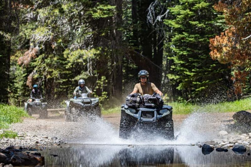 Lake Tahoe: Rubicon Trail Guided Off Road ATV Tour - An In-Depth Look at the Tour Experience